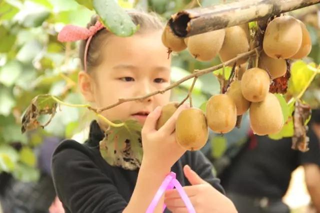 47deaa1.jpg 47deaa1.jpg