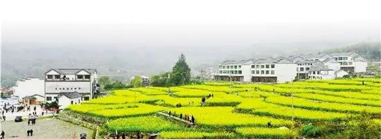 微信图片_20170919153813.jpg 微信图片_20170919153813.jpg