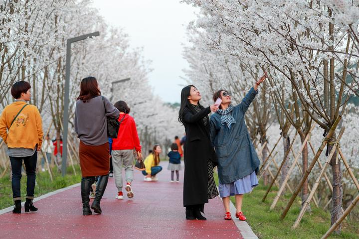 暮春时节的浦江县浦阳街道同乐村,花红柳绿,生机勃勃.