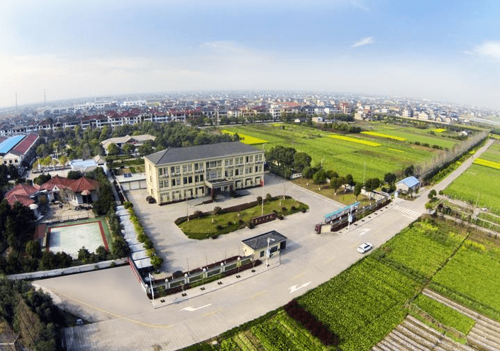 余姚泗门镇小路下村.图片由余姚市委办供图