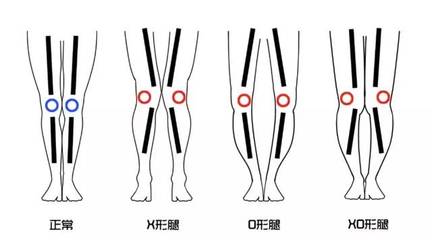 t01624e42cd9a23dddd.jpg