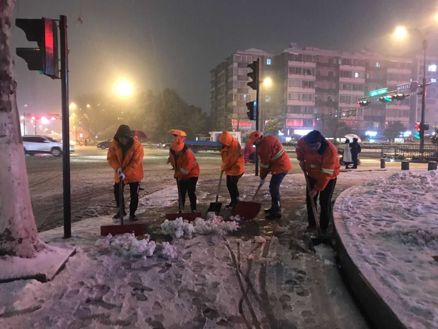 党支部志愿抗雪.jpg