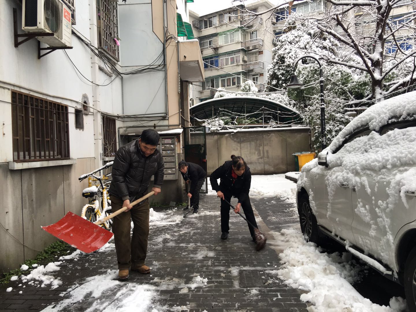 党员参与扫雪.jpg