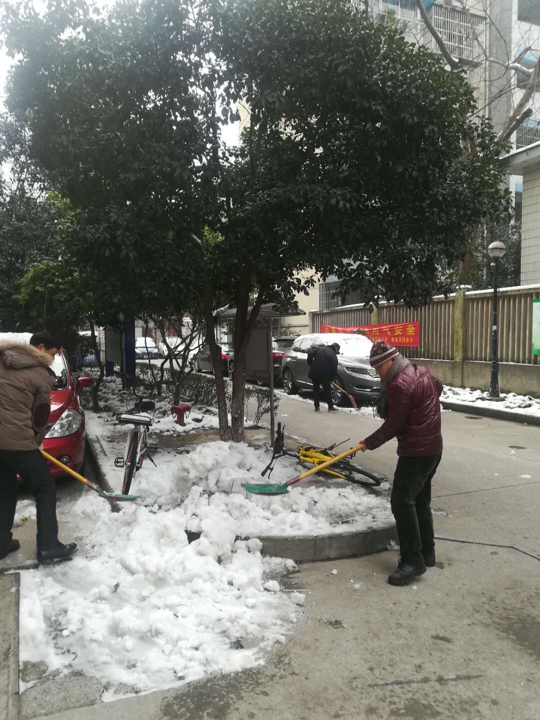 党员参加扫雪行动.png