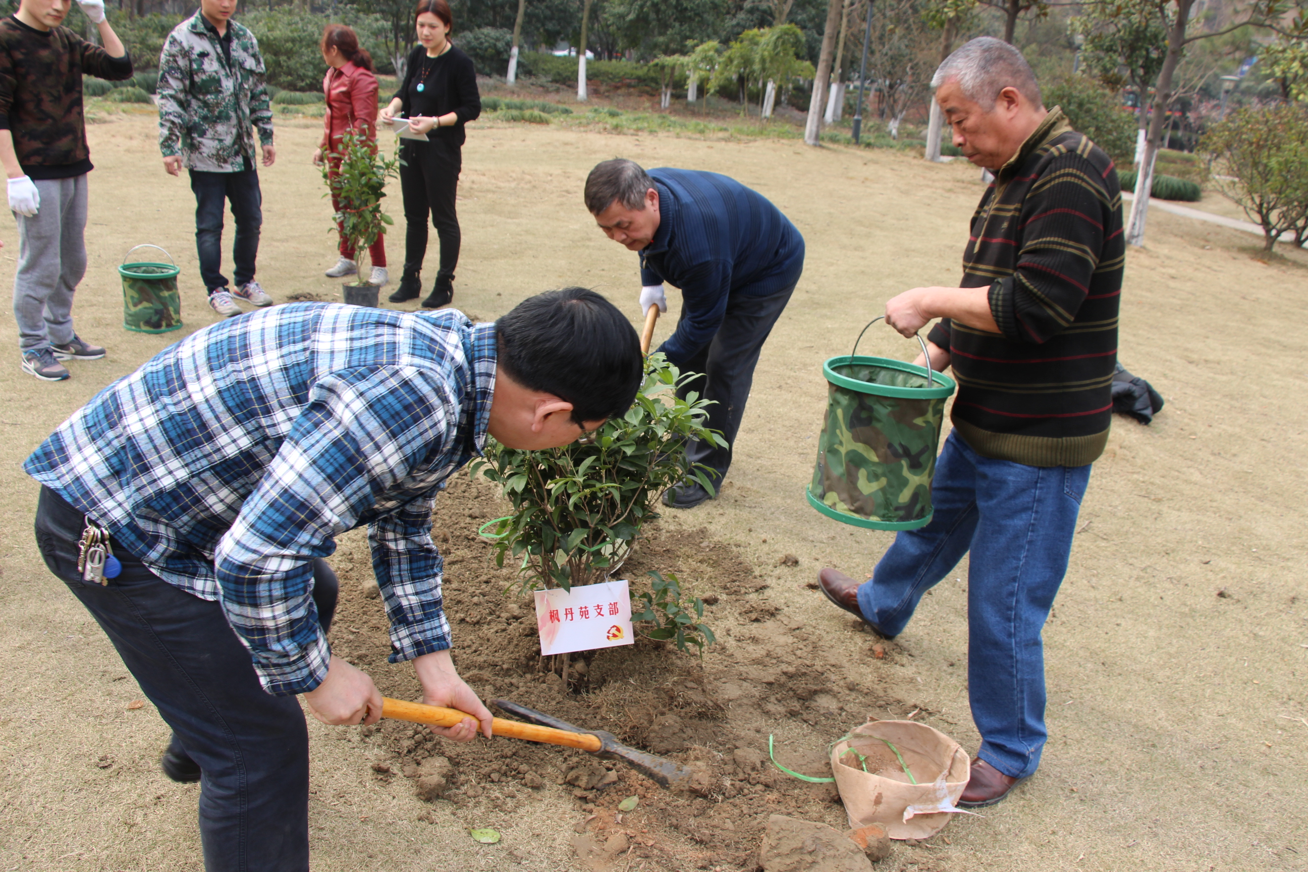 枫丹苑支部植树节在滨河公园种下支部树.JPG