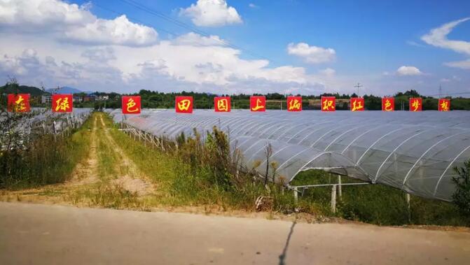 QQ截图20180829163705.jpg