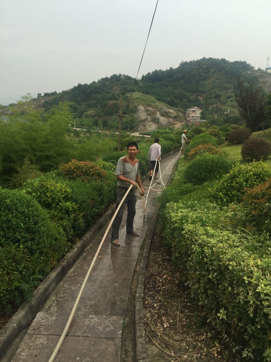 高良德2.jpg