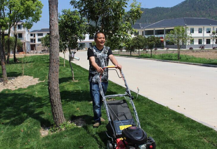 裘才强在村口进行义务劳动修建草坪.jpg