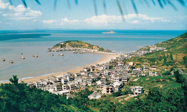 岱山东沙镇把党建工作从"盆景"连成"风景"