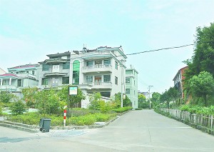 10095518_834863.jpg