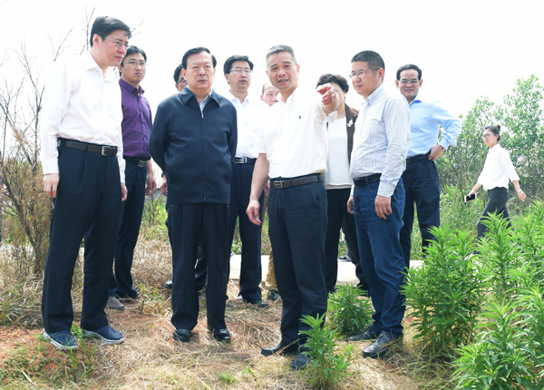 5月19日上午，夏宝龙书记考察衢州市衢江区高家镇溪西养殖小区。浙江日报记者 黄曙林.jpg