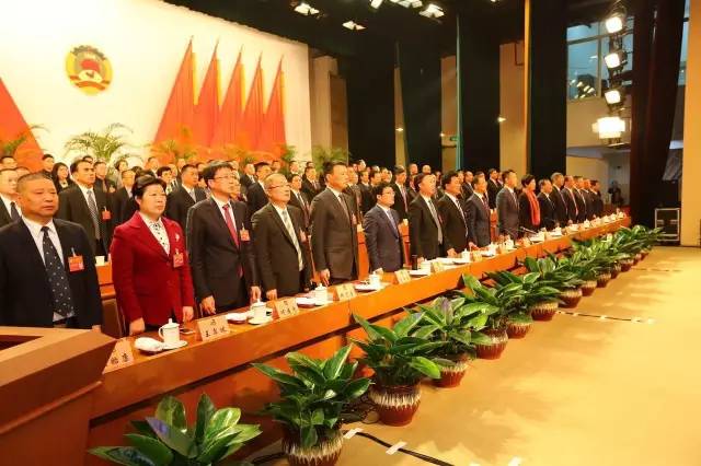 瑞安市政协十三届一次会议胜利闭幕,新一届政协班子成员集体亮相
