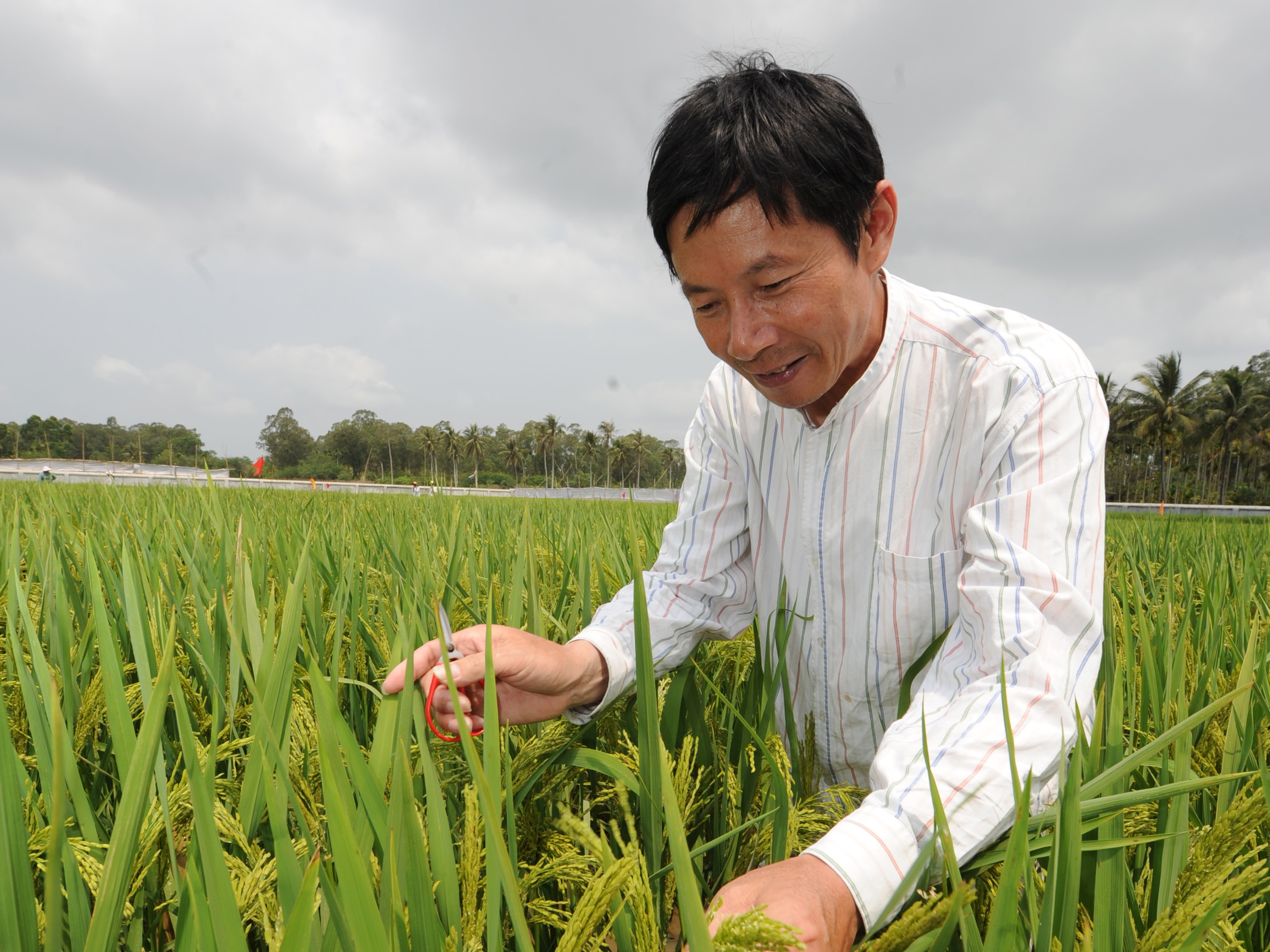 16 马荣荣（省农业厅）.jpg